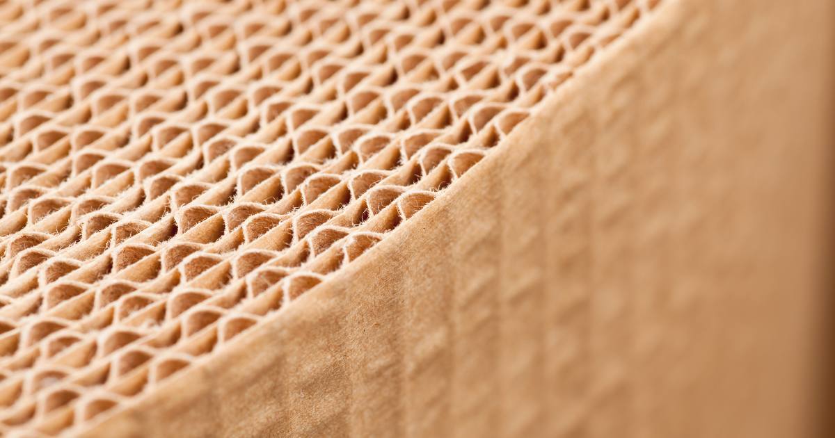 Sustainable Packaging Solutions: The Future of Corrugation