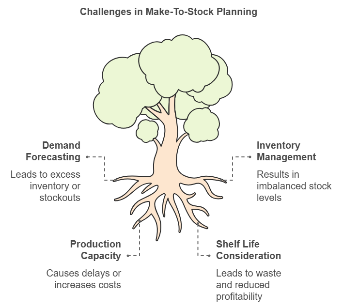 Key Challenges of MTS Planning